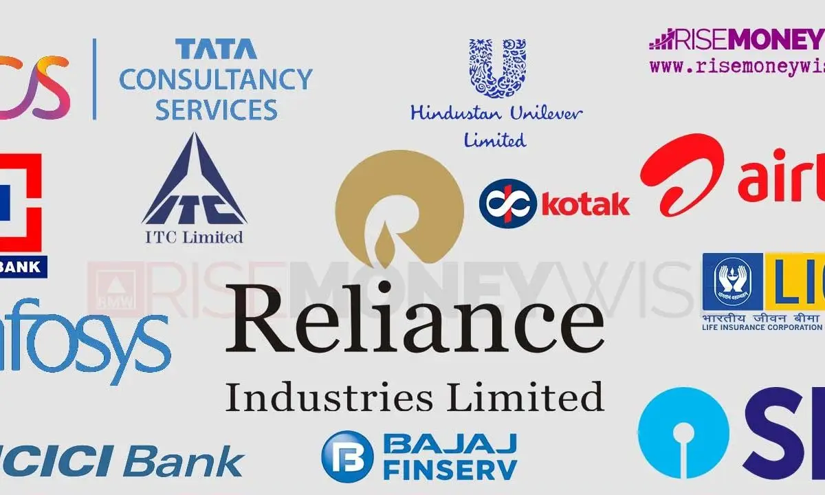 biggest companies india risemoneywise